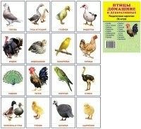 Раздаточные карточки "Птицы домашние и декоративные" - fgospostavki.ru - Домодедово