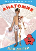 DVD "Анатомия для детей" - fgospostavki.ru - Домодедово