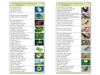 Комплект карточек (10) "Обучающий калейдоскоп. Природа" - fgospostavki.ru - Домодедово