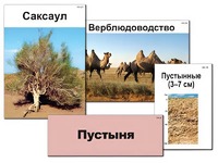 Модель-аппликация "Природные зоны России" (ламинированная) - fgospostavki.ru - Домодедово