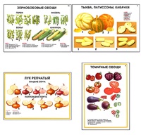 Плакаты ПРОФТЕХ "Ассортимент овощных культур" (12 пл, винил, 70х100) - fgospostavki.ru - Домодедово