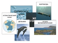 Модель-аппликация "Океаны. Знакомство" (ламинированная) - fgospostavki.ru - Домодедово