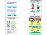 Плакаты ПРОФТЕХ "Классификации и виды мяса" (4 пл, винил, 70х100) - fgospostavki.ru - Домодедово
