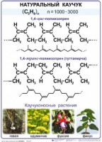 Комплект демонстрационных таблиц по химии "Полимеры" (комплект 12 таблиц) - fgospostavki.ru - Домодедово