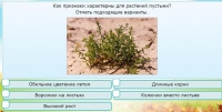 Интерактивные курсы. Окружающий мир 3 класс . Базовый. - fgospostavki.ru - Домодедово