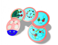 Тактильно-развивающая панель «Гусеница» - fgospostavki.ru - Домодедово