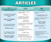 Стенд "Артикли" - fgospostavki.ru - Домодедово