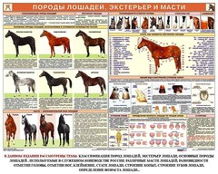 Комплект плакатов "Служебное коневодство" - fgospostavki.ru - Домодедово