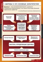 Комплект таблиц. ОБЖ. Здоровый образ жизни. - fgospostavki.ru - Домодедово