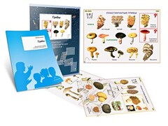 Комплект кодотранспарантов "Грибы" - fgospostavki.ru - Домодедово