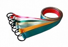 Лента гимнастическая на кольце (1 метр) - fgospostavki.ru - Домодедово