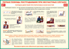 Таблица "Порядок действий при переломах конечностей" (100х140 сантиметров, винил) - fgospostavki.ru - Домодедово