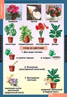 Комплект таблиц. Окружающий мир 1 класс. - fgospostavki.ru - Домодедово