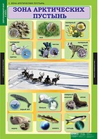 Комплект таблиц. Окружающий мир 4 класс. - fgospostavki.ru - Домодедово