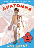 DVD "Анатомия для детей" - fgospostavki.ru - Домодедово