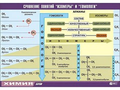Таблица демонстрационная "Сравнение понятий изомер и гомолог" (винил 100x140) - fgospostavki.ru - Домодедово
