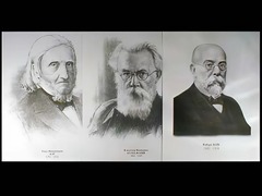Портреты биологов (26 штук, формат А3) - fgospostavki.ru - Домодедово