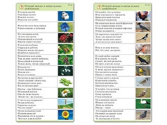Комплект карточек (10) "Обучающий калейдоскоп. Природа" - fgospostavki.ru - Домодедово