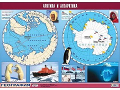 Таблица демонстрационная "Арктика и Антарктика" (винил 100*140) - fgospostavki.ru - Домодедово