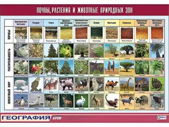 Таблица демонстрационная "Почвы, растения и животные природных зон" (винил 70*100) - fgospostavki.ru - Домодедово