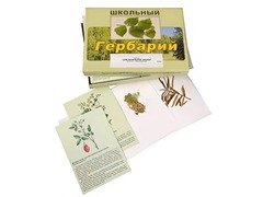 Гербарий "Для начальной школы" (30 видов, с иллюстрациями) - fgospostavki.ru - Домодедово