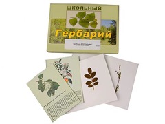 Гербарий "Деревья и кустарники" (22 вида, с иллюстрациями) - fgospostavki.ru - Домодедово