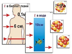 Модель-аппликация "Явление радиоактивности" (ламинированная) - fgospostavki.ru - Домодедово