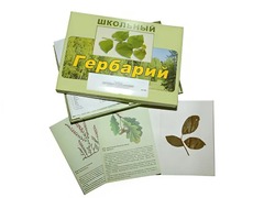 Гербарий "Дикорастущие растения" (30 видов, с иллюстрациями) - fgospostavki.ru - Домодедово