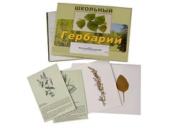 Гербарий "Лекарственные растения" (22 вида с иллюстрациями) - fgospostavki.ru - Домодедово