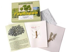 Гербарий "Водоросли. Грибы. Лишайники" (раздаточный) - fgospostavki.ru - Домодедово