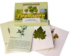 Гербарий "Систематика растений. Высшие споровые и семенные" (раздаточный) - fgospostavki.ru - Домодедово
