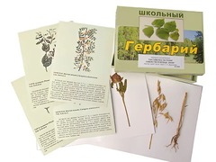 Гербарий "Систематика растений. Семейство Бобовые. Злаки" (раздаточный) - fgospostavki.ru - Домодедово