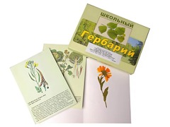 Гербарий "Систематика растений. Семейство Пасленовые. Крестоцветные. Сложноцветные" (раздаточный) - fgospostavki.ru - Домодедово