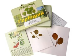 Гербарий "Систематика растений. Семейство Розоцветные" (раздаточный) - fgospostavki.ru - Домодедово