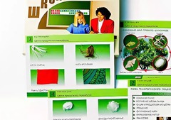 Коллекция "Шелк и продукты его переработки" (средняя школа) - fgospostavki.ru - Домодедово