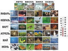 Фенологические наблюдения - fgospostavki.ru - Домодедово