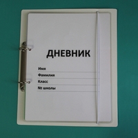 Дневник школьника (с полным набором карточек) - fgospostavki.ru - Домодедово