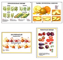 Плакаты ПРОФТЕХ "Ассортимент овощных культур" (12 пл, винил, 70х100) - fgospostavki.ru - Домодедово