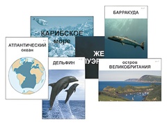 Модель-аппликация "Океаны. Знакомство" (ламинированная) - fgospostavki.ru - Домодедово