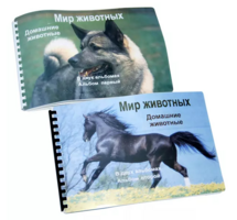 Пособие для слабовидящих - Домашние животные - fgospostavki.ru - Домодедово
