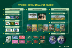Электрифицированный стенд "Уровни организации жизни" - fgospostavki.ru - Домодедово