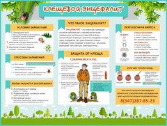 Стенд "Клещевой энцефалит" - fgospostavki.ru - Домодедово