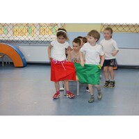 Шорты эстафетные - fgospostavki.ru - Домодедово
