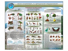 Стенд "Как выжить в суровых условиях" - fgospostavki.ru - Домодедово