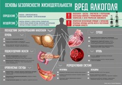 Стенд "Алкоголь" - fgospostavki.ru - Домодедово