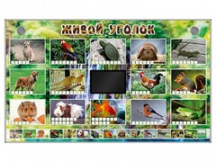Комплект оборудования "Живой уголок" (животные) - fgospostavki.ru - Домодедово