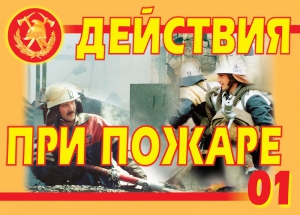 Комплект плакатов "Действия при пожаре" - fgospostavki.ru - Домодедово