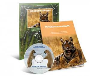 Электронное наглядное пособие «Млекопитающие» - fgospostavki.ru - Домодедово