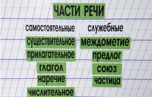 Набор магнитных карточек "Части речи" (фон зелёный) - fgospostavki.ru - Домодедово
