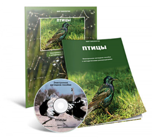 Электронное наглядное пособие «Птицы» - fgospostavki.ru - Домодедово